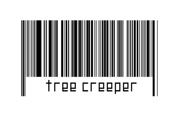 Barcode Auf Weißem Hintergrund Mit Inschrift Baum Schlingpflanze Unten Konzept — Stockfoto