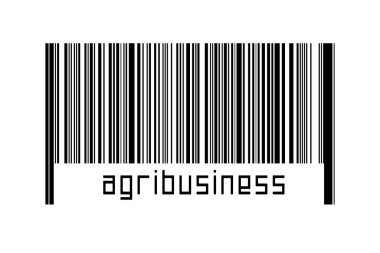 Dijitalleştirme kavramı. Altında yazıtlar bulunan siyah yatay çizgilerin barkodu.