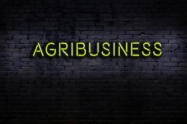 Insegna Neon Sul Muro Mattoni Notte Iscrizione Agribusiness — Foto Stock