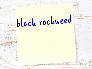 Tahta duvardaki sarı yapışkan notta el yazısıyla yazılmış siyah kaya yosunu.