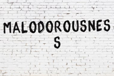 Beyaz tuğla duvara siyah boya ile yazılmış kötü kokulu yazılar..