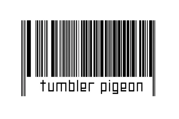 Digitalization Concept Barcode Black Horizontal Lines Inscription Tumbler Pigeon — Stock Photo, Image