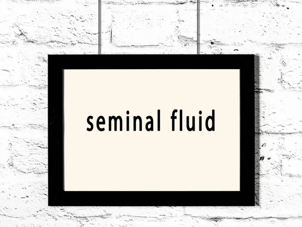 Black Wooden Frame Inscription Seminal Fluid Hanging White Brick Wall — Stock Photo, Image