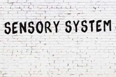 Siyah boyayla el yazısıyla yazması algılama sistemi olan beyaz tuğla bir duvar.