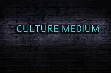 Üzerinde yazıt kültürü olan neon levhası tuğla duvara karşı. Gece görünümü