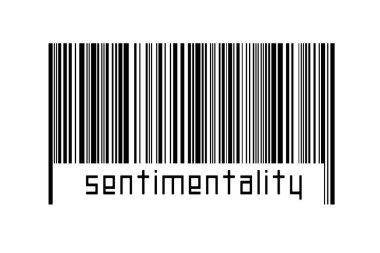 Dijitalleştirme kavramı. Altında yazıtlar olan siyah yatay çizgilerin barkodu.