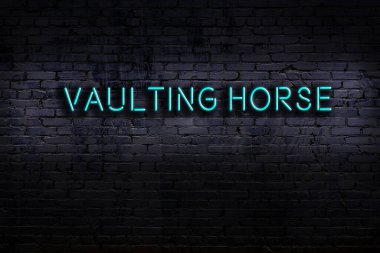 Geceleri duvarda neon levhası var. Yazıt atlama atı