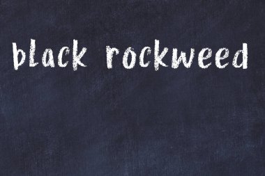 Tebeşir el yazısıyla yazılmış siyah kaya yosunu siyah masanın üzerinde.