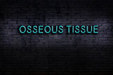 Geceleri duvarda neon levhası var. Yazıt osseous doku