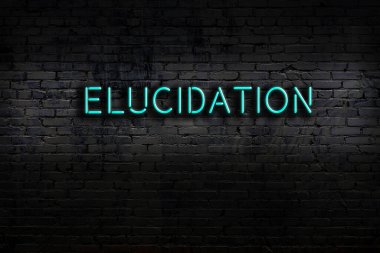 Neon sign on brick wall at night. Inscription elucidation