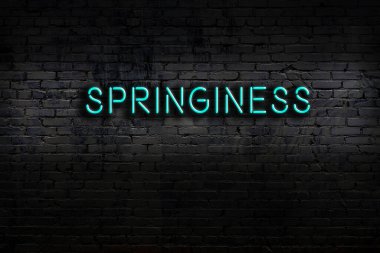 Neon sign with inscription springiness against brick wall. Night view