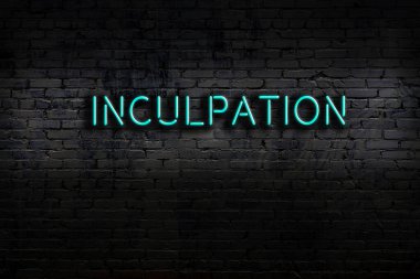 Neon sign on brick wall at night. Inscription inculpation