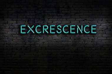 Neon sign on brick wall at night. Inscription excrescence