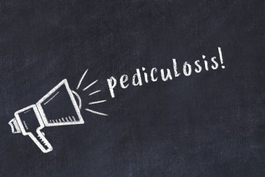 Black chalkboard with drawing of a loudspeaker and inscription pediculosis