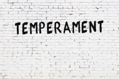 Yazı karakteri siyah boyayla el yazısıyla yazılmış beyaz tuğla duvar.