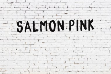 Yazılı beyaz tuğla duvar. Siyah boyayla yazılmış pembe somon.