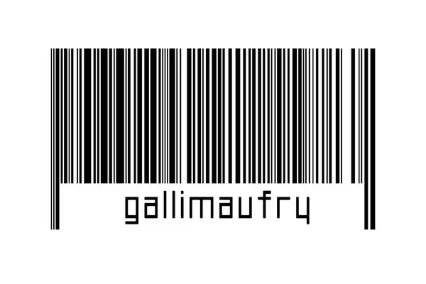 Digitalization Concept Barcode Black Horizontal Lines Inscription Gallimaufry — 图库照片