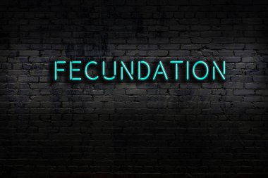 Duvara yazı yazılmış neon levhası var. Gece görünümü