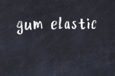 Inscription gum elastic written with black paint on white brick wall.