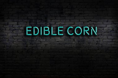 Neon sign on brick wall at night. Inscription edible corn