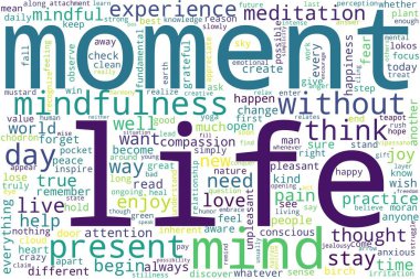 Beyaz arka planda kelime etiketi bulutu. Yaşam kavramı.