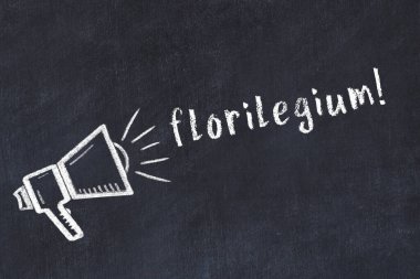Hoparlör çizimi ve florilegium yazısıyla siyah karatahta.