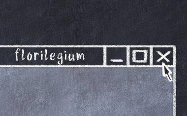 Tarayıcı penceresinin sayfa başlığı florilegium yazısıyla kapatılmasının tebeşir çizimi  