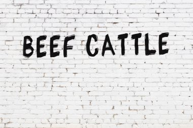 Yazılı sığır eti beyaz duvara siyah boya ile yazılmış..