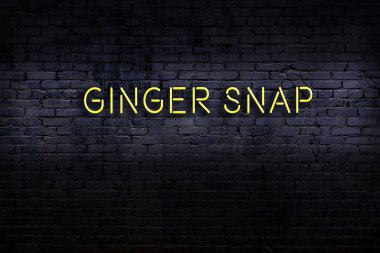 Üzerinde kızıl yazılar olan neon levha tuğla duvara çarpıyor. Gece görünümü