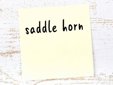 Tahta duvardaki sarı yapışkan nota, el yazısıyla yazılmış eyer boynuzu.