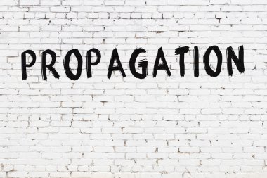 Beyaz tuğlalı duvar, siyah boyayla yazılmış.