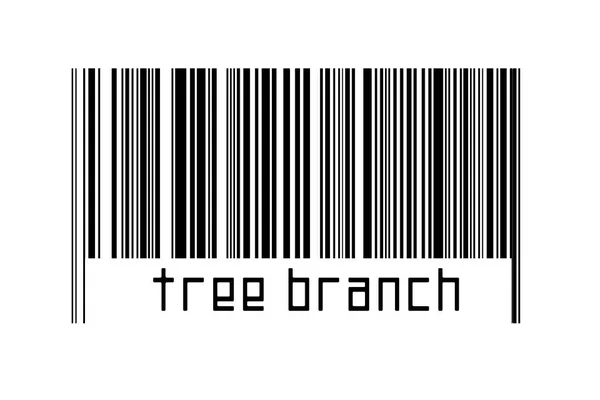 Barcode White Background Inscription Tree Branch Concept Trading Globalization — Stock Photo, Image