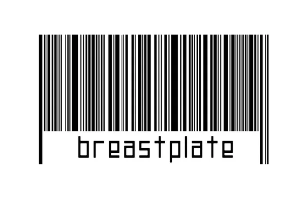 Digitalisierungskonzept Barcode Schwarzer Horizontaler Linien Mit Brustschild Unten — Stockfoto