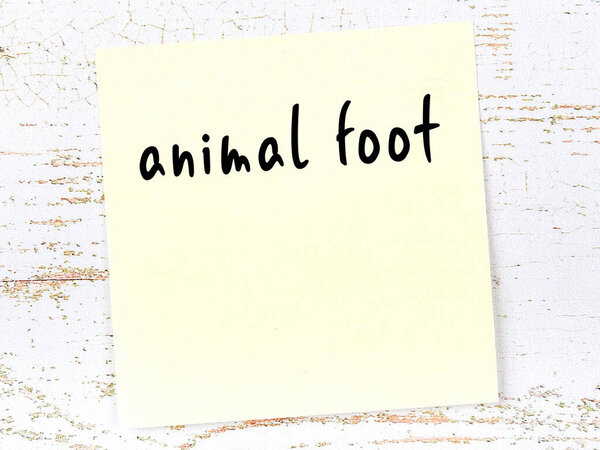Concept of reminder about animal foot. Yellow sticky sheet of paper on wooden wall with inscription