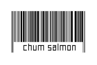 Dijitalleştirme kavramı. Altında somon balığı yazılı siyah yatay çizgilerin barkodu.