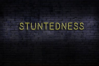 Geceleri duvarda neon levhası var. Yazıtın durgunluğu