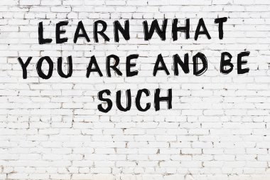 Beyaz tuğla duvara zekice alıntılar yazılı siyah bir yazı.