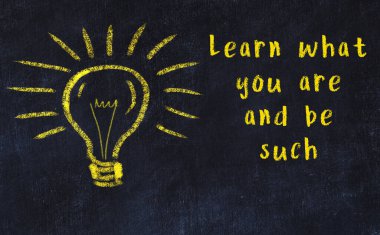 Bir karatahtaya ve bir ampul çizimine elle yazılmış akıllı bir alıntı.