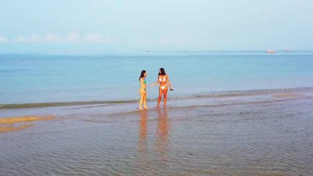 Две Юные Подружки Бикини Идут Морскому Побережью Красивые Женщины Отдыхают — стоковое видео