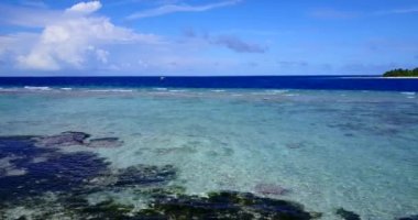 Sabah yeşil palmiyeli kıyı bölgesi. Fiji, Okyanusya 'nın doğal manzarası.