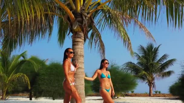 Dwie Młode Dziewczyny Bikini Stojące Piaszczystym Wybrzeżu Morza Pod Palmą — Wideo stockowe