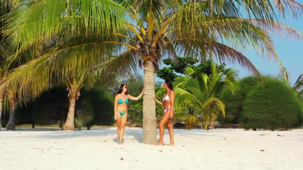 Twee Jonge Vriendinnen Bikini Die Zandige Zeekust Staan Onder Palmbomen Rechtenvrije Stockvideo