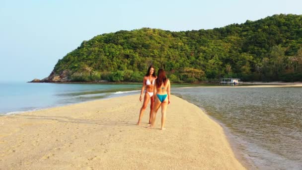 Twee Jonge Vriendinnen Bikini Wandelend Zandige Eilandkevers Tussen Zeewater Achteraanzicht Stockvideo