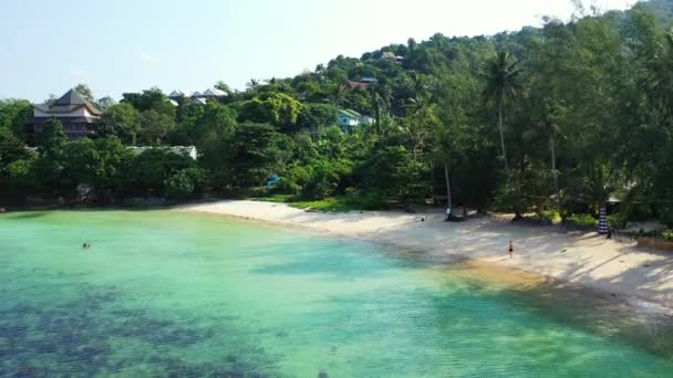 Mavi Denizdeki Yeşil Adaya Bakıyorum Dominik Cumhuriyeti Karayipler Egzotik Tatil — Stok video