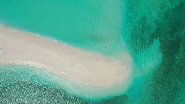 Levendige Turquoise Tropische Kust Zonnig Karakter Van Dominicaanse Republiek Caraïben — Stockvideo