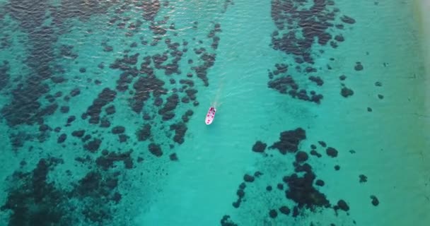 Прозора Мілководдя Біля Узбережжя Відпустка Балі Ліцензійні Стокові Відеоролики