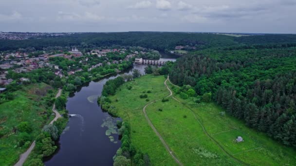 Luftaufnahme von grünem Wald und Fluss — Stockvideo