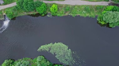 yeşil orman ve nehir havadan görünümü