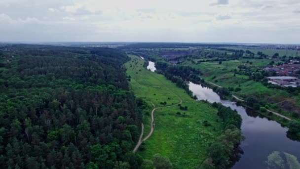 Вид з повітря на зелений ліс і річку — стокове відео