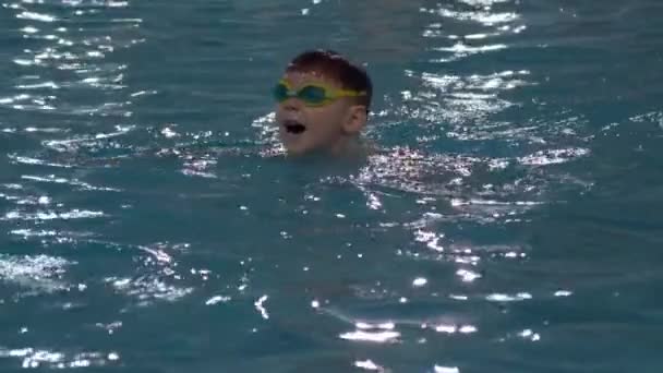 Çocuk havuzda yüzüyor ve suya dalıyor. — Stok video